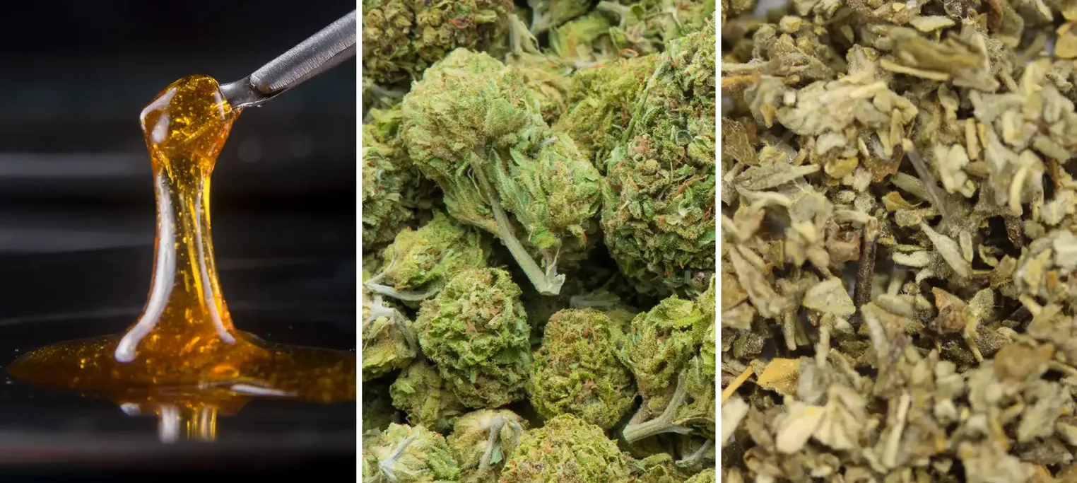 cannabis oil bud synthetic