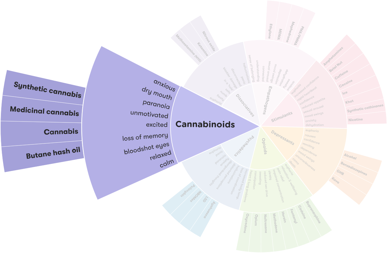 Synthetic Cannabis Alcohol And Drug Foundation