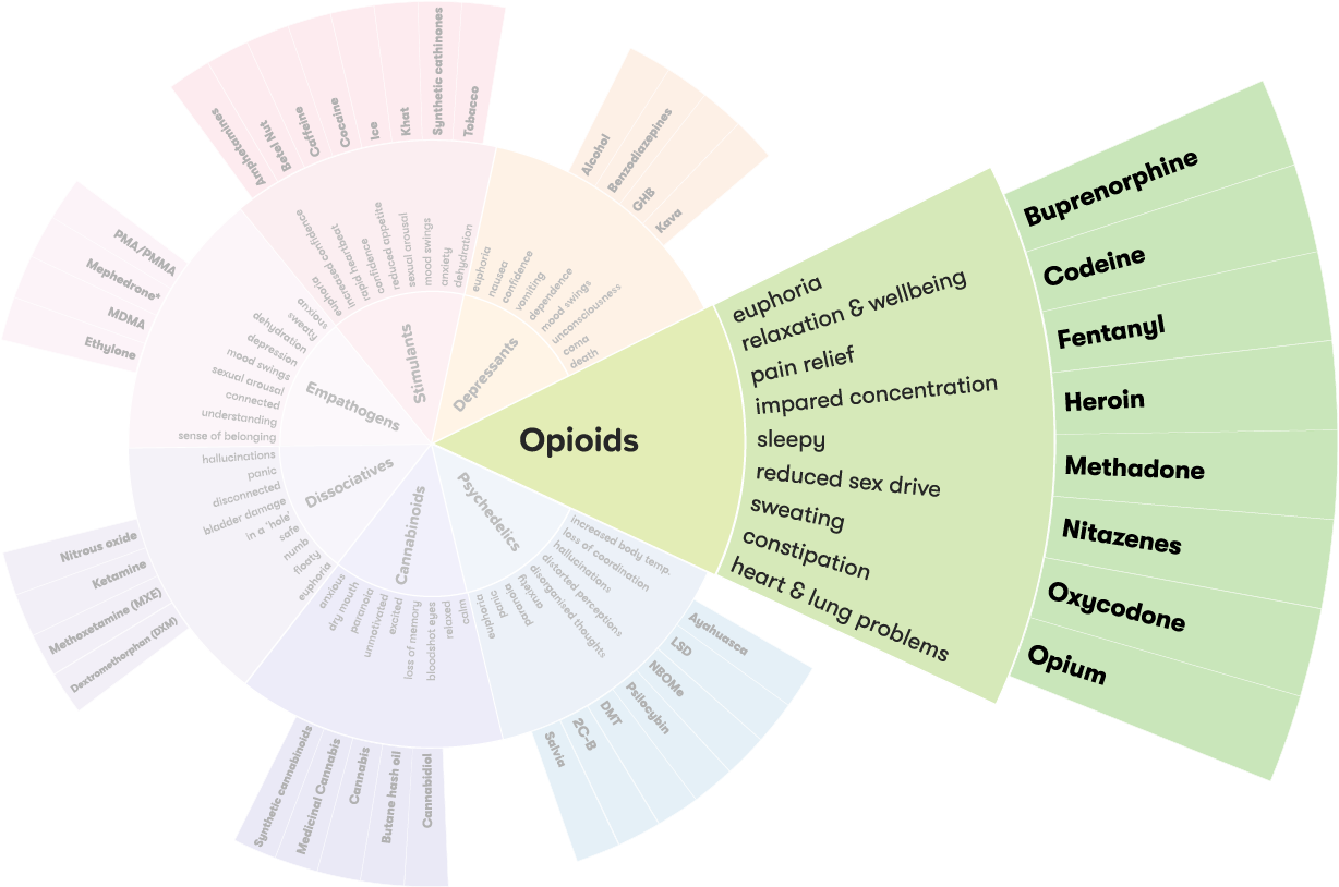 Drug wheel segment - Opioids segment@2x.png