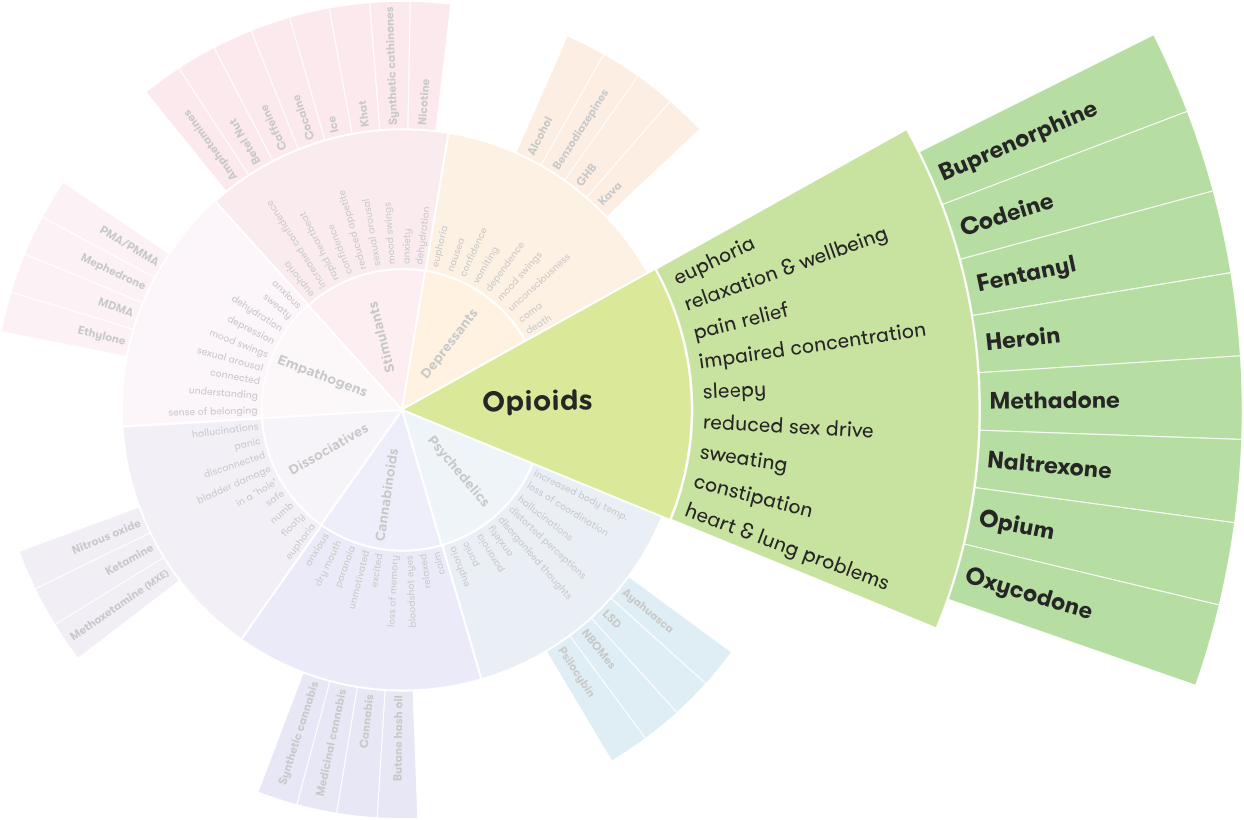 What Drugs Have Opiates in Them?