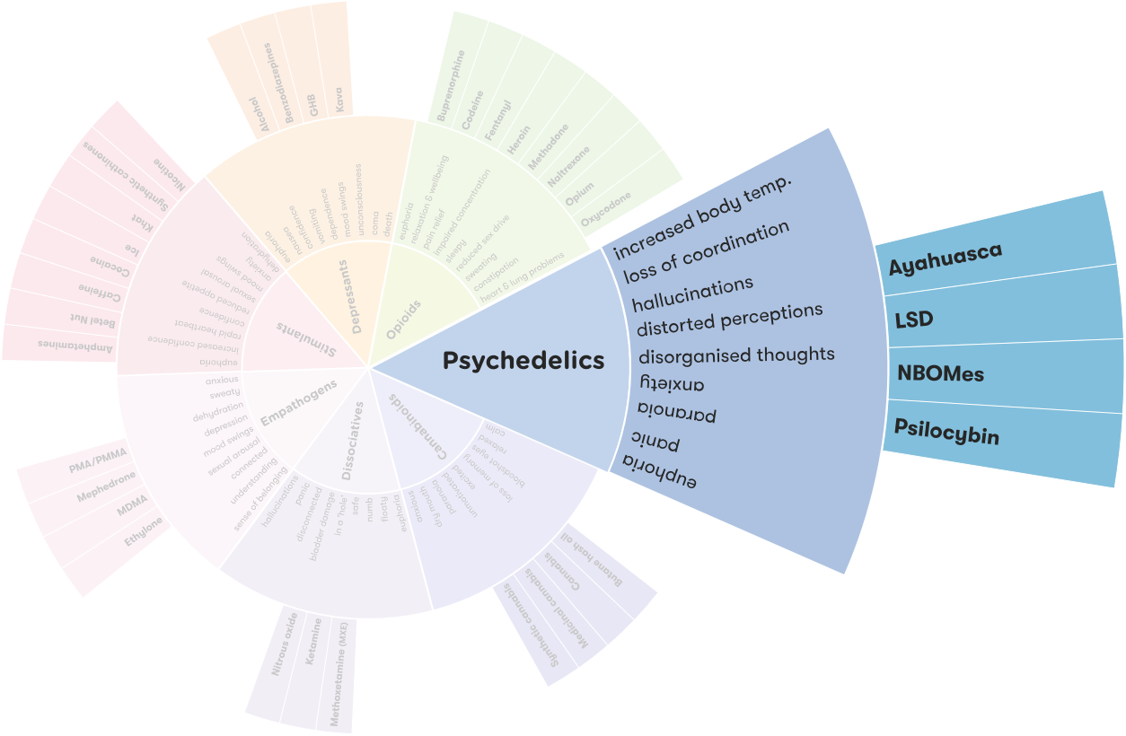 Psilocybin Alcohol And Drug Foundation