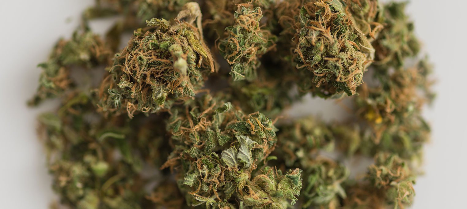 Macro image of cannabis buds