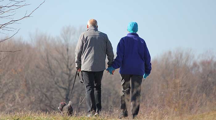 Older couple walking with dog