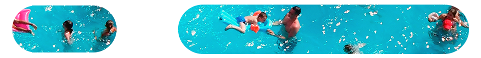 rounded slice swimming.png