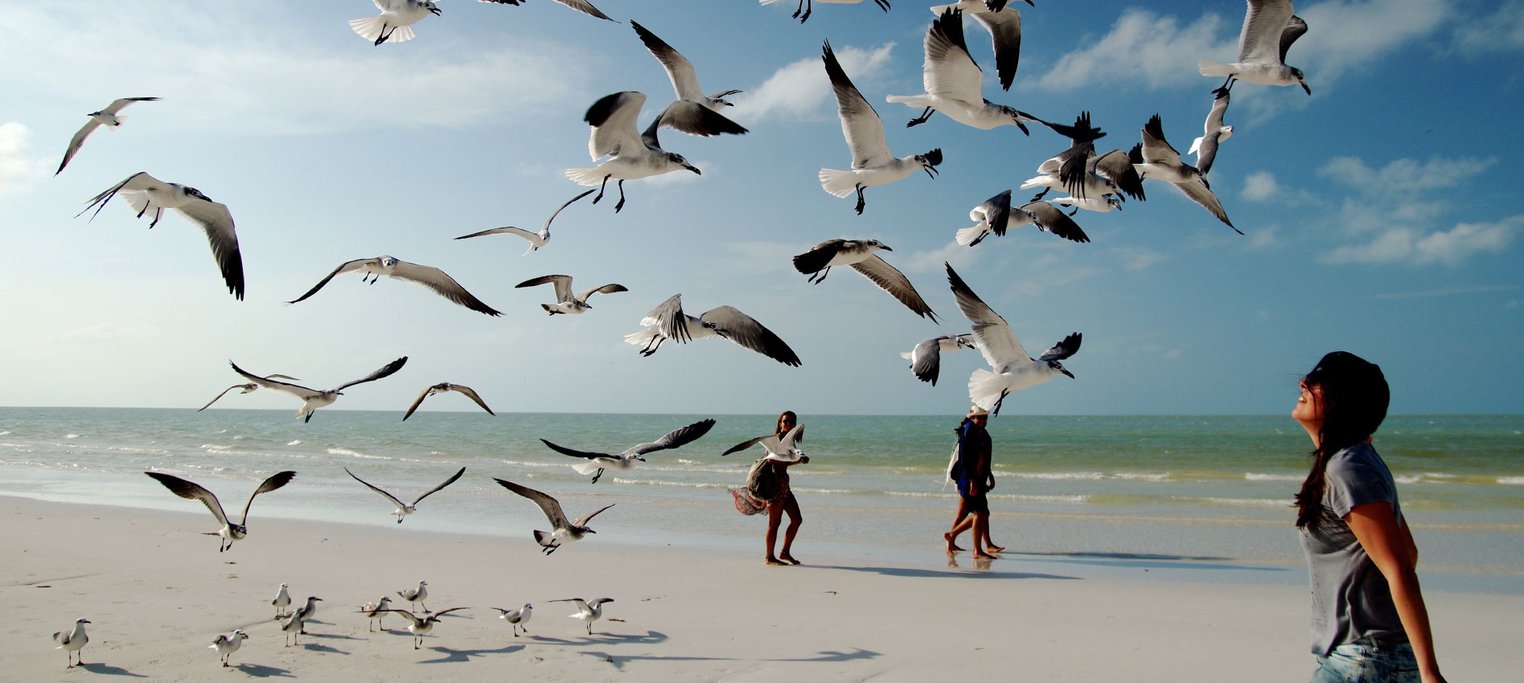 woman with seagulls flying at beach on a summer day