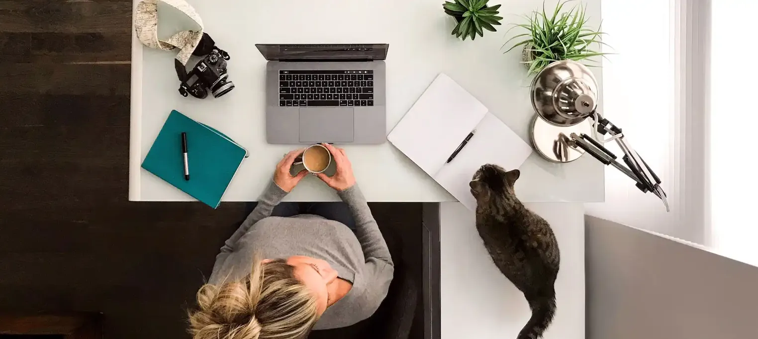 Woman working from home with cats